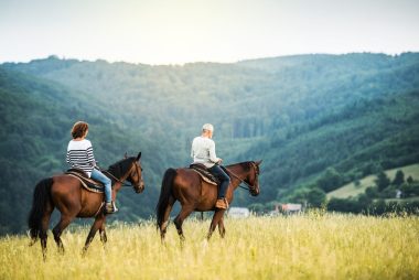 A happy senior couple riding horses on a meadow in nature. Copy space.